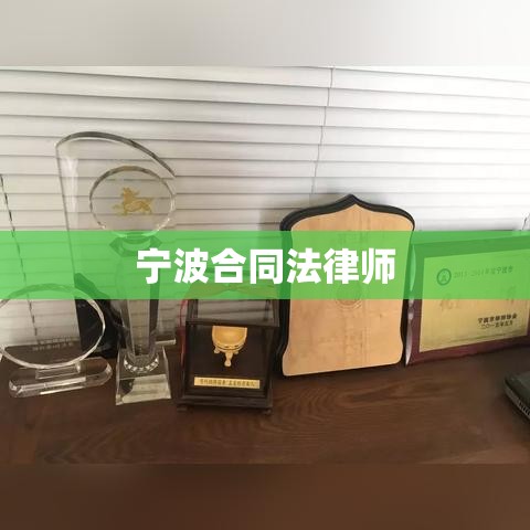 宁波合同法律师深度解读合同法律，助力企业稳健发展  第1张