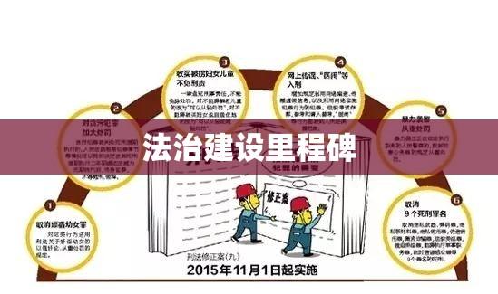 刑法修正案八司法解释，法治建设的重要里程碑  第1张