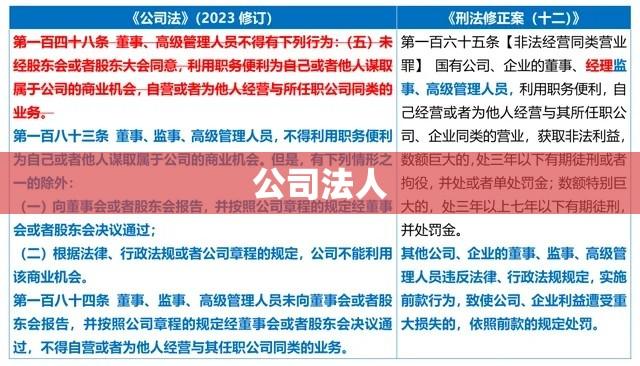 公司法人，定义、职责及核心重要性解析  第1张