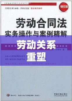 解读劳动合同法，重塑劳动关系的法律基石（2008年）  第1张