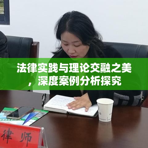 法律实践与理论交融之美，深度案例分析探究  第1张