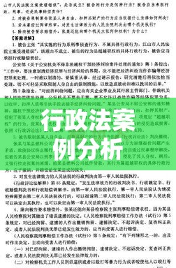 行政法案例分析，法律实践与理论应用探究  第1张