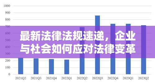 最新法律法规速递，企业与社会如何应对法律变革的挑战  第1张