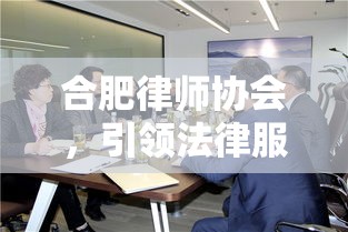 合肥律师协会，引领法律服务行业，助推法治社会建设进程  第1张