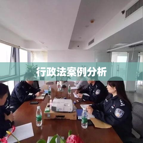 行政法案例分析，实践应用视角下的深入解读  第1张