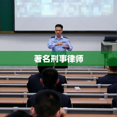 著名刑事律师，法律之剑的锻造者传奇  第1张