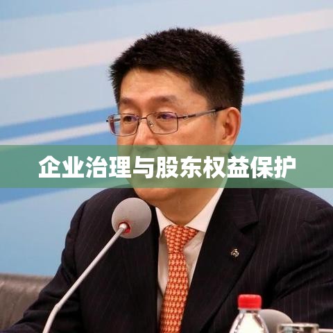 公司法案例分析，企业治理与股东权益保护的探索与实践  第1张