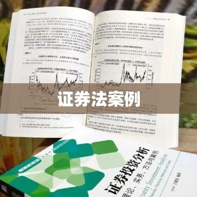 证券法案例深度解析，实践角度探讨应用与挑战  第1张