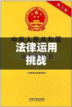 商标法案例研究，洞悉实践中的法律运用与挑战  第1张