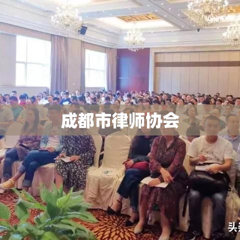 成都市律师协会，法治先锋，助力城市蓬勃发展  第1张