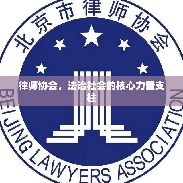 律师协会，法治社会的核心力量支柱  第1张