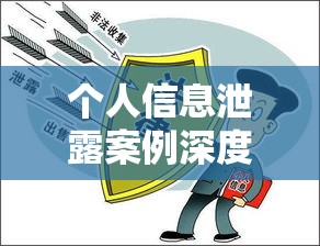 个人信息泄露案例深度探究，隐私保护的警钟长鸣  第1张