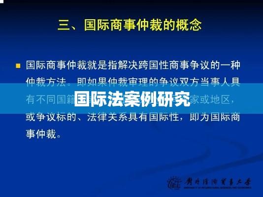 国际法案例研究，国际商事仲裁案例视角分析  第1张