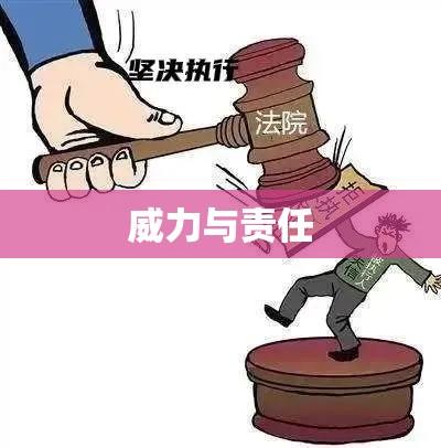 法院强制执行的威力与责任探究  第1张