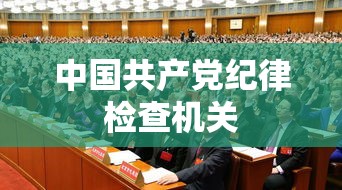 中国共产党纪律检查机关案件检查工作条例，反腐败斗争的坚固防线守护者  第1张