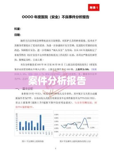 案件分析报告，细节解析与结论总结  第1张