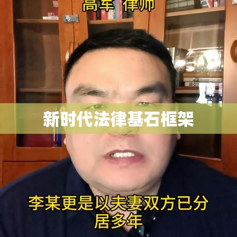 民法典草案，新时代的法律基石框架  第1张