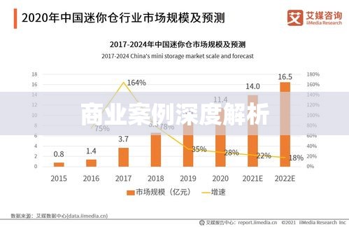 案例分析网，深度解析商业案例，赋能企业成长之路  第1张