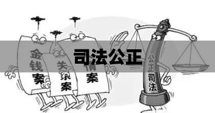 老人见判决书身亡背后的司法公正与社会关怀缺失问题反思  第1张