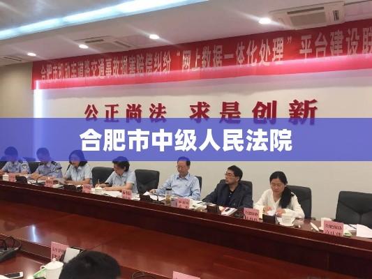 合肥市中级人民法院，司法公正与法治建设的典范实践  第1张