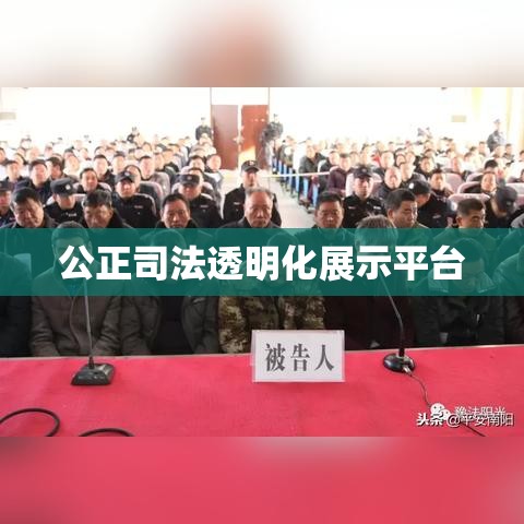 河南法院庭审直播网，公正司法的透明化展示平台  第1张