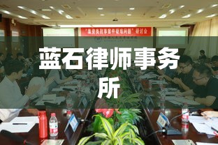 蓝石律师事务所，专业法律服务，维护社会公正权益  第1张