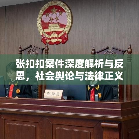 张扣扣案件深度解析与反思，社会舆论与法律正义的交汇点  第1张