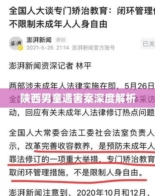 陕西男童遇害案深度解析，律师视角透视案件细节与未来走向  第1张