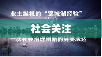 业主维权遭遇暴力致多处骨折，事件引发社会关注  第1张