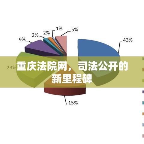 重庆法院网，司法公开的新里程碑  第1张