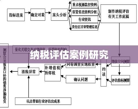 纳税评估案例研究，以某制造企业为视角  第1张