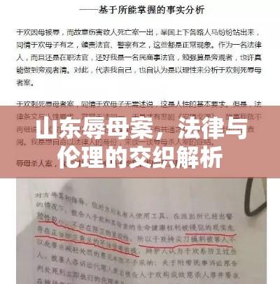 山东辱母案，法律与伦理的交织解析  第1张