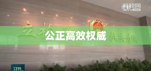 上海法院，公正高效权威的司法象征  第1张