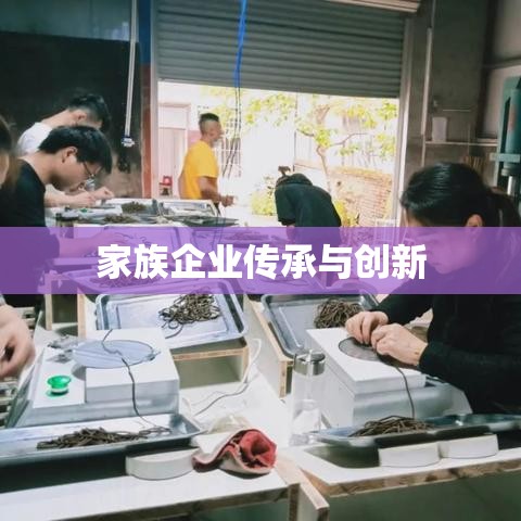 家族企业传承与创新，挑战与机遇的探究案例  第1张