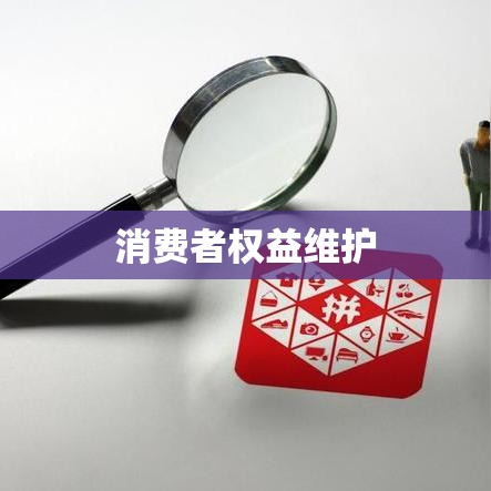 拼多多回应律师砍价事件，透明处理，坚决维护消费者权益  第1张