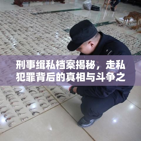 刑事缉私档案揭秘，走私犯罪背后的真相与斗争之路  第1张