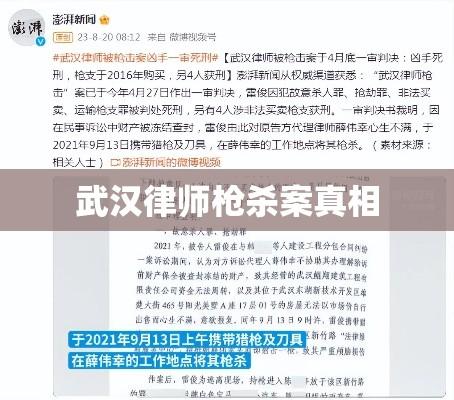 武汉律师枪杀案背后真相探寻与社会正义反思  第1张