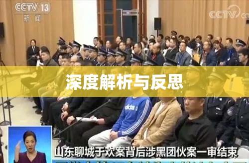 山东515案件深度解析与反思，背后的真相与启示  第1张