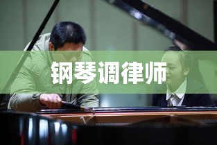 钢琴调律师，守护音乐之美的幕后匠人  第1张