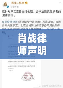 肖战律师声明背后的故事与深层启示  第1张