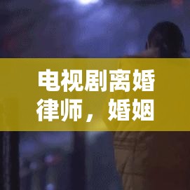 电视剧离婚律师，婚姻背后的故事与挑战揭秘  第1张