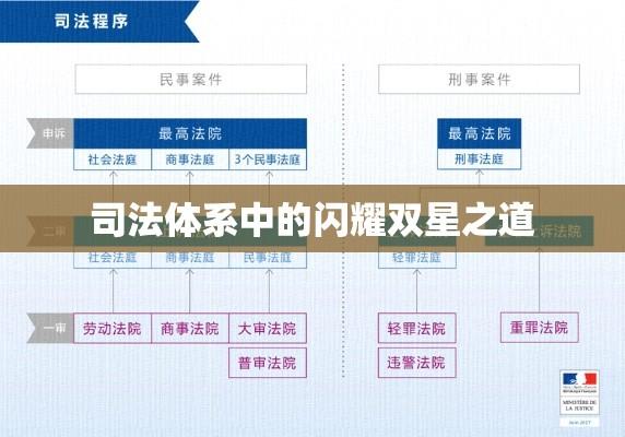 刑事双星模式，探究司法体系中的闪耀双星之道  第1张