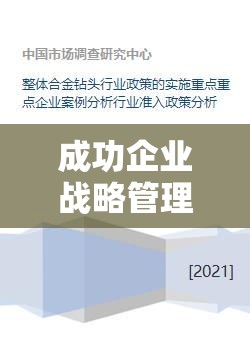 成功企业战略管理执行实践案例分析  第1张