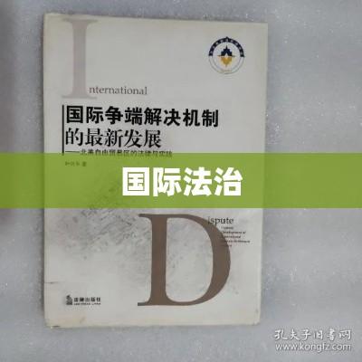 美国制裁国际刑事法院检察官，国际法治的挑战与反思  第1张