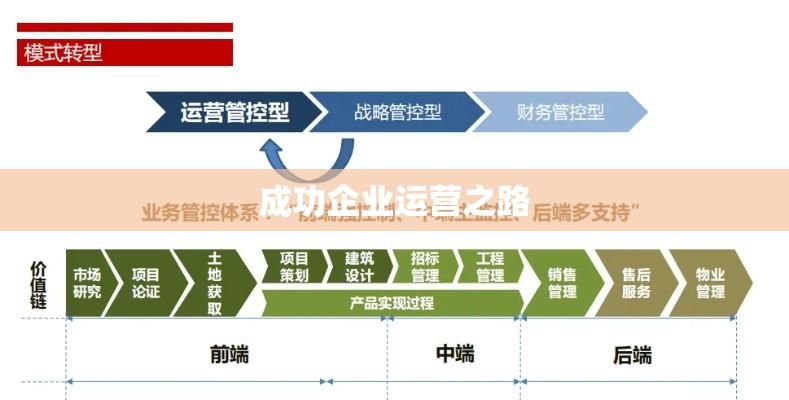 成功企业运营之路案例分析，运营管理策略揭秘  第1张