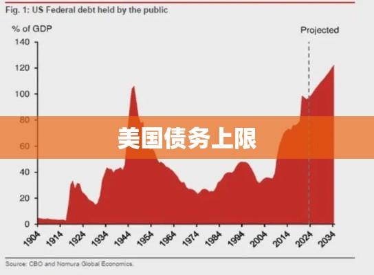 美国债务上限的影响与挑战  第1张