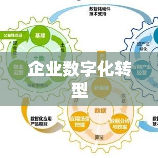 企业数字化转型之旅，管理信息系统的案例研究  第1张