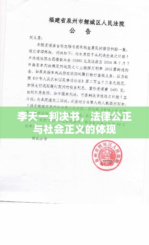 李天一判决书，法律公正与社会正义的体现  第1张