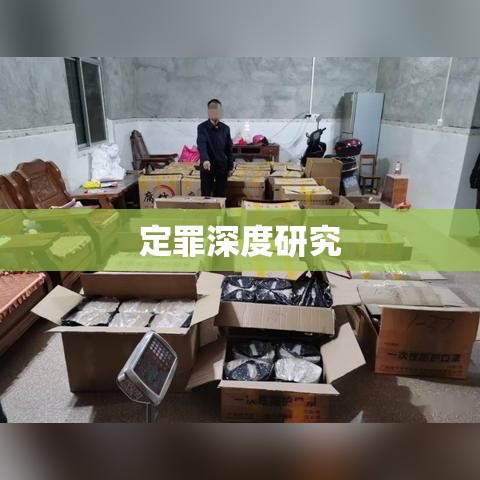 非法经营罪定罪深度研究  第1张