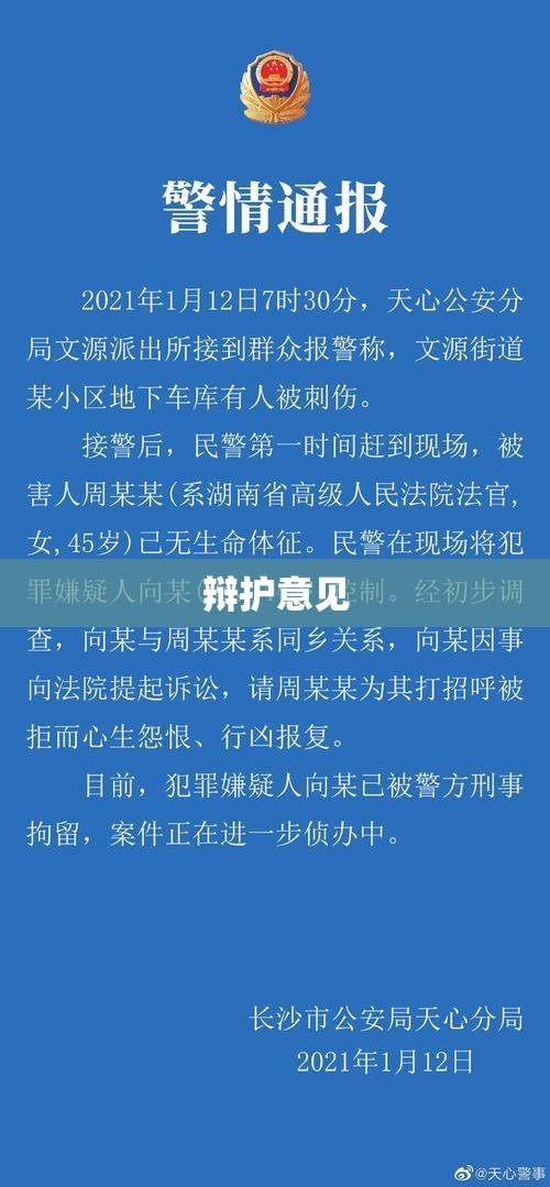 辩护意见的重要性与价值，法律公正的核心环节  第1张